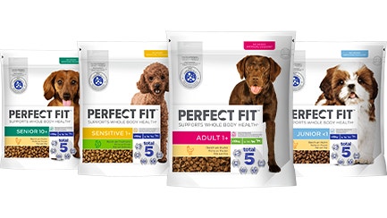 Framer Flexible list image for dogs