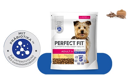 Dog flexible framer dog product