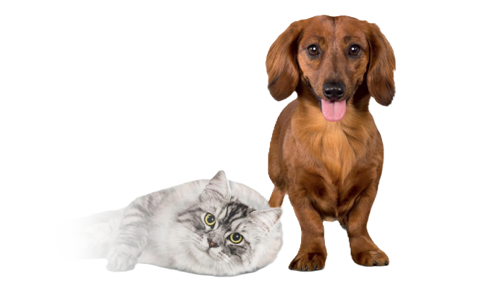 Finden sie das richtige tierfutter