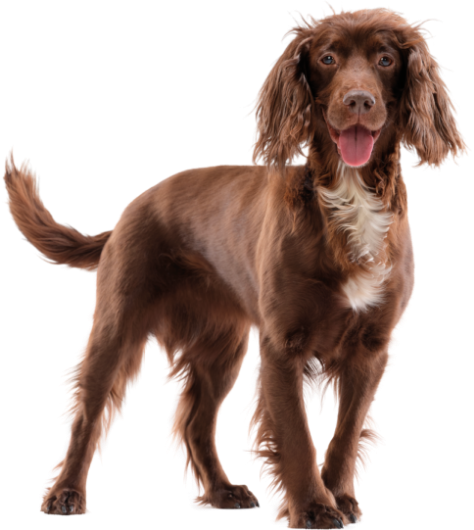 Perfect Fit brand imagery