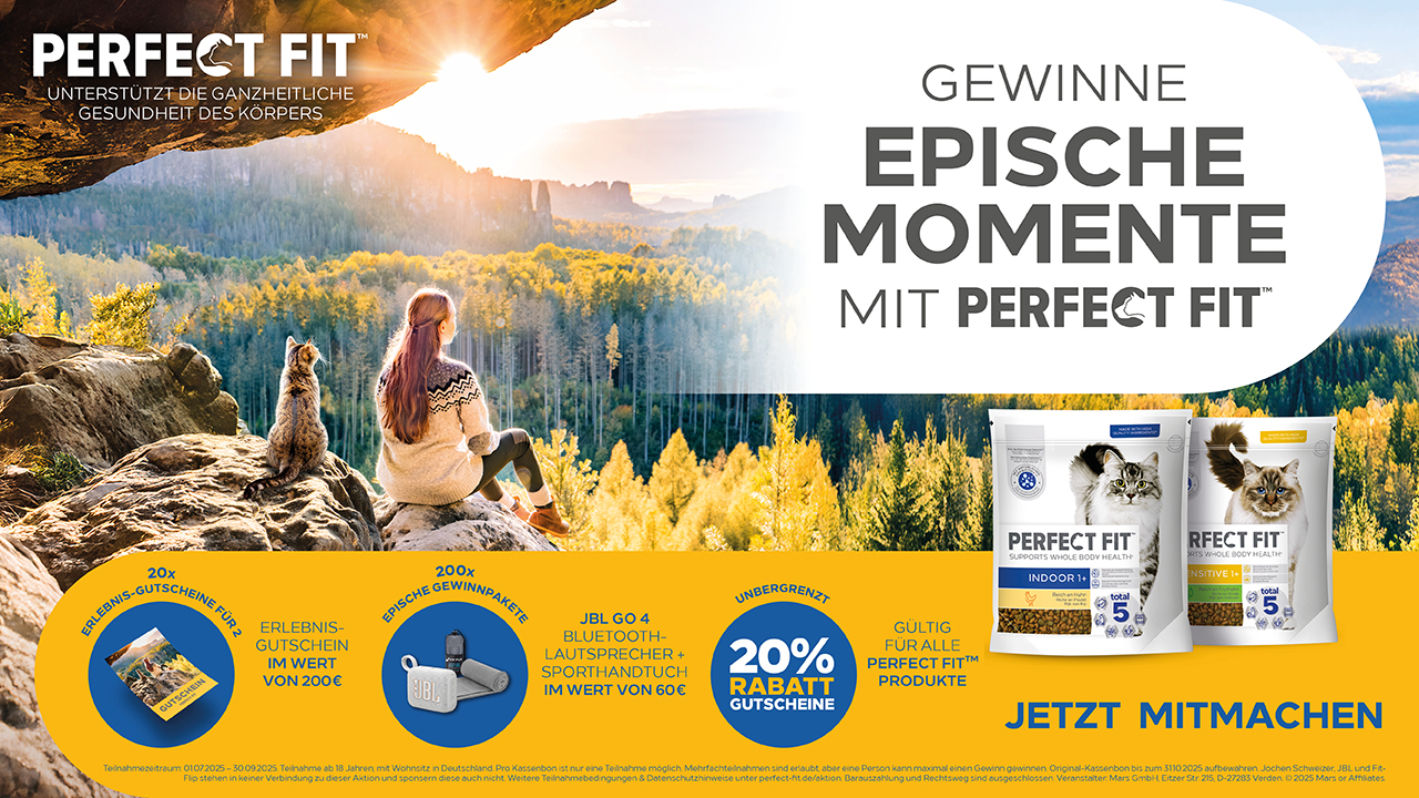 banner with campaign logo